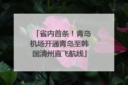 省内首条！青岛机场开通青岛至韩国清州直飞航线