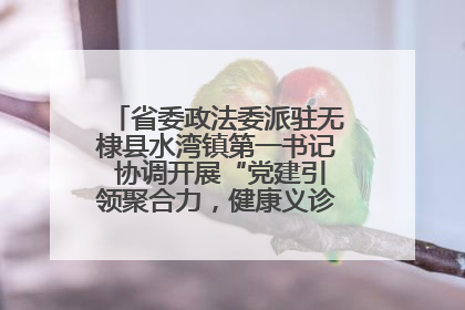 省委政法委派驻无棣县水湾镇第一书记 协调开展“党建引领聚合力，健康义诊惠乡亲”义诊活动