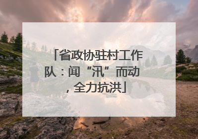 省政协驻村工作队：闻“汛”而动，全力抗洪