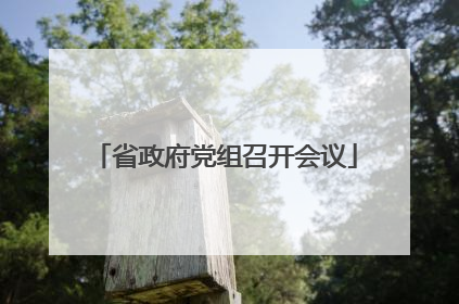 省政府党组召开会议