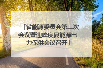 省能源委员会第二次会议暨迎峰度夏能源电力保供会议召开