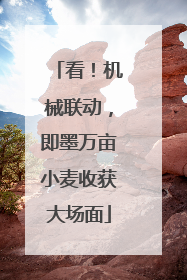 看！机械联动，即墨万亩小麦收获大场面