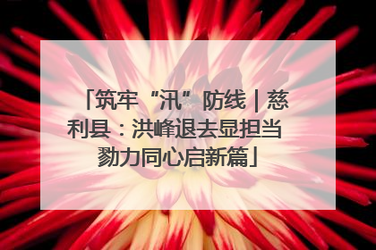 筑牢“汛”防线｜慈利县：洪峰退去显担当 勠力同心启新篇
