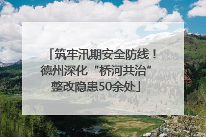 筑牢汛期安全防线！德州深化“桥河共治”整改隐患50余处