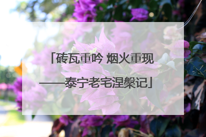 砖瓦重吟 烟火重现——泰宁老宅涅槃记