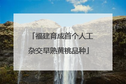 福建育成首个人工杂交早熟黄桃品种