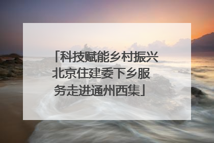 科技赋能乡村振兴 北京住建委下乡服务走进通州西集