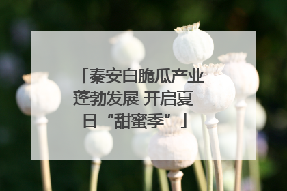 秦安白脆瓜产业蓬勃发展 开启夏日“甜蜜季”