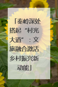 秦岭深处搭起“村光大道”：文旅融合激活乡村振兴新动能