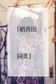 稻香田园美