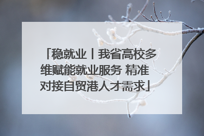 稳就业丨我省高校多维赋能就业服务 精准对接自贸港人才需求