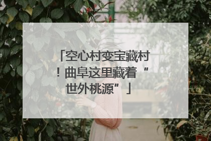 空心村变宝藏村！曲阜这里藏着“世外桃源”