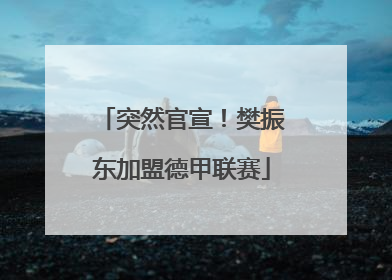 突然官宣！樊振东加盟德甲联赛