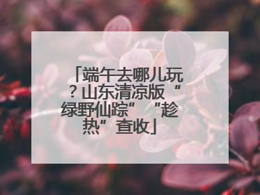 端午去哪儿玩？山东清凉版“绿野仙踪”“趁热”查收
