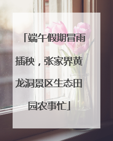 端午假期冒雨插秧，张家界黄龙洞景区生态田园农事忙