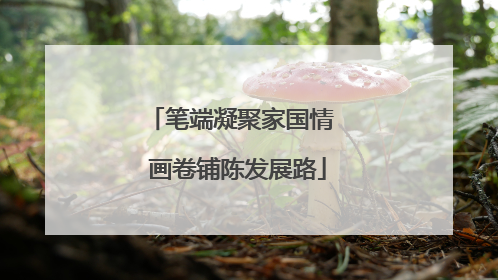 笔端凝聚家国情  画卷铺陈发展路
