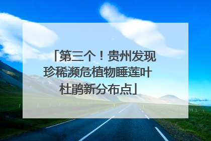 第三个！贵州发现珍稀濒危植物睡莲叶杜鹃新分布点