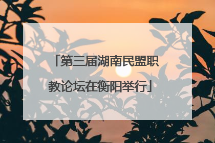 第三届湖南民盟职教论坛在衡阳举行