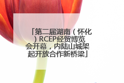 第二届湖南（怀化）RCEP经贸博览会开幕，内陆山城架起开放合作新桥梁