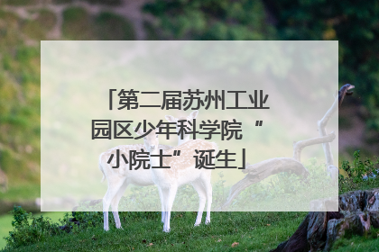 第二届苏州工业园区少年科学院“小院士”诞生