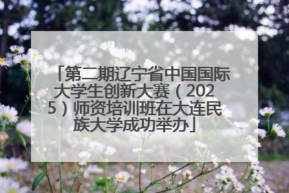 第二期辽宁省中国国际大学生创新大赛（2025）师资培训班在大连民族大学成功举办
