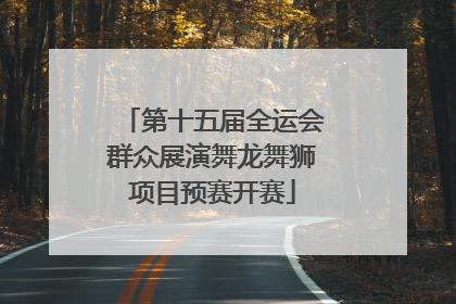 第十五届全运会群众展演舞龙舞狮项目预赛开赛