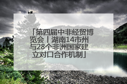 第四届中非经贸博览会丨湖南14市州与28个非洲国家建立对口合作机制