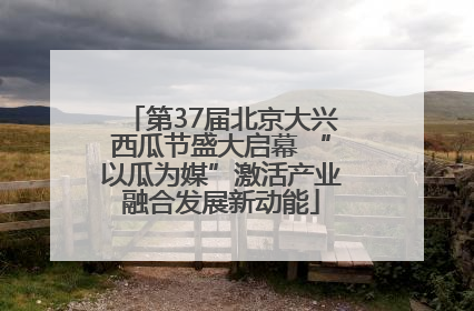 第37届北京大兴西瓜节盛大启幕 “以瓜为媒”激活产业融合发展新动能