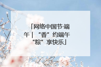 网络中国节·端午｜“香”约端午 “粽”享快乐