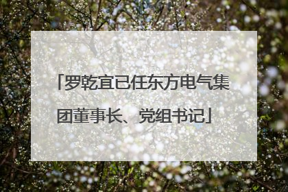 罗乾宜已任东方电气集团董事长、党组书记