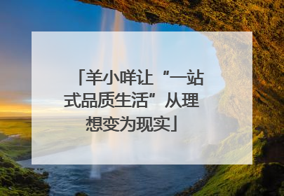 羊小咩让“一站式品质生活”从理想变为现实