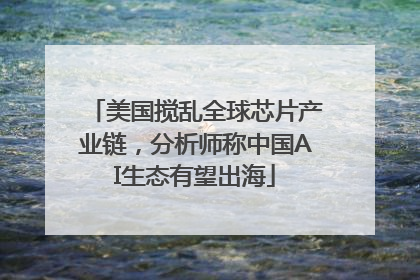 美国搅乱全球芯片产业链，分析师称中国AI生态有望出海