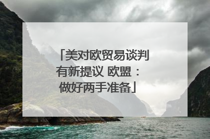 美对欧贸易谈判有新提议 欧盟：做好两手准备
