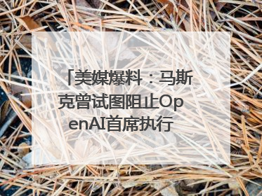 美媒爆料：马斯克曾试图阻止OpenAI首席执行官奥尔特曼在中东的AI交易