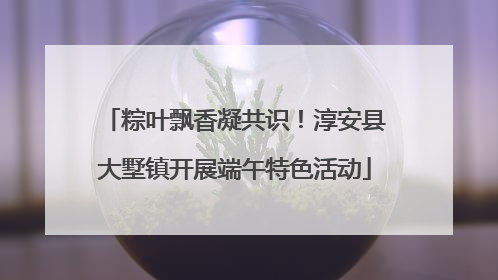 粽叶飘香凝共识！淳安县大墅镇开展端午特色活动