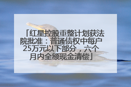红星控股重整计划获法院批准：普通债权中每户25万元以下部分，六个月内全额现金清偿