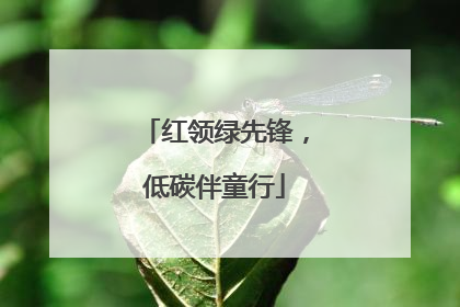 红领绿先锋，低碳伴童行