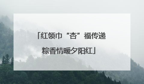 红领巾“杏”福传递 粽香情暖夕阳红