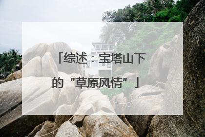 综述：宝塔山下的“草原风情”