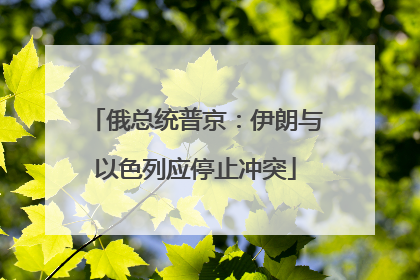 俄总统普京：伊朗与以色列应停止冲突