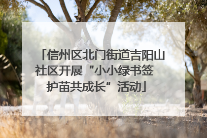 信州区北门街道吉阳山社区开展“小小绿书签 护苗共成长”活动