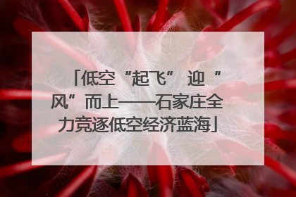 低空“起飞” 迎“风”而上——石家庄全力竞逐低空经济蓝海