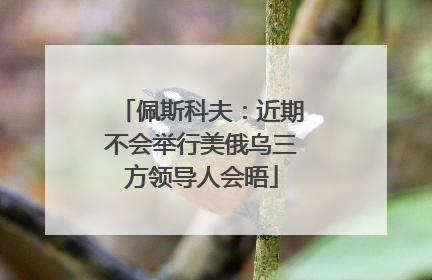佩斯科夫：近期不会举行美俄乌三方领导人会晤