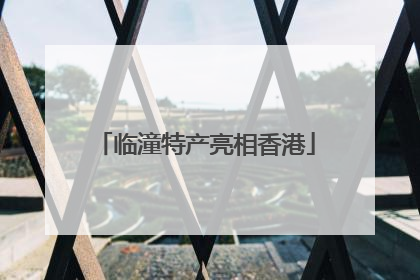 临潼特产亮相香港