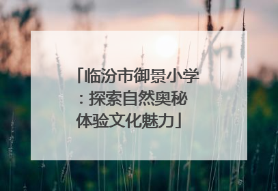 临汾市御景小学：探索自然奥秘 体验文化魅力