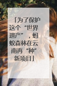 为了保护这个“世界遗产”，蚂蚁森林在云南再“种”新项目