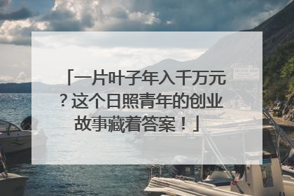 一片叶子年入千万元？这个日照青年的创业故事藏着答案！