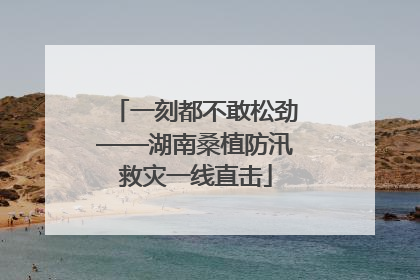 一刻都不敢松劲——湖南桑植防汛救灾一线直击
