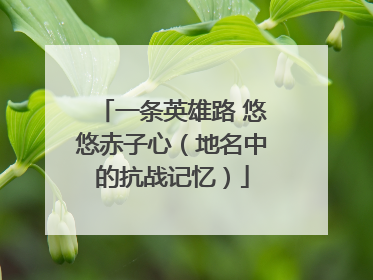 一条英雄路 悠悠赤子心（地名中的抗战记忆）