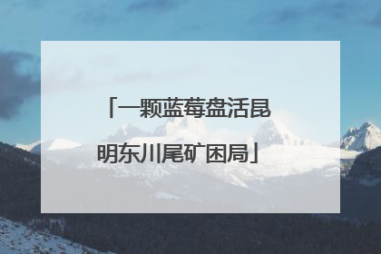 一颗蓝莓盘活昆明东川尾矿困局